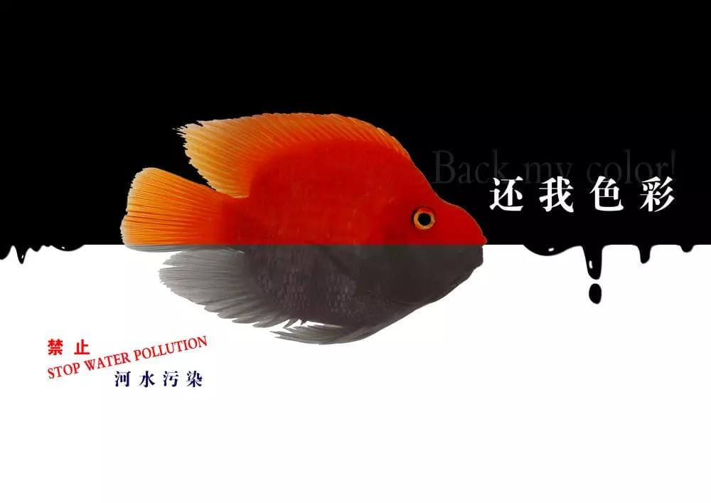 污水處理藥劑，污水處理，水處理